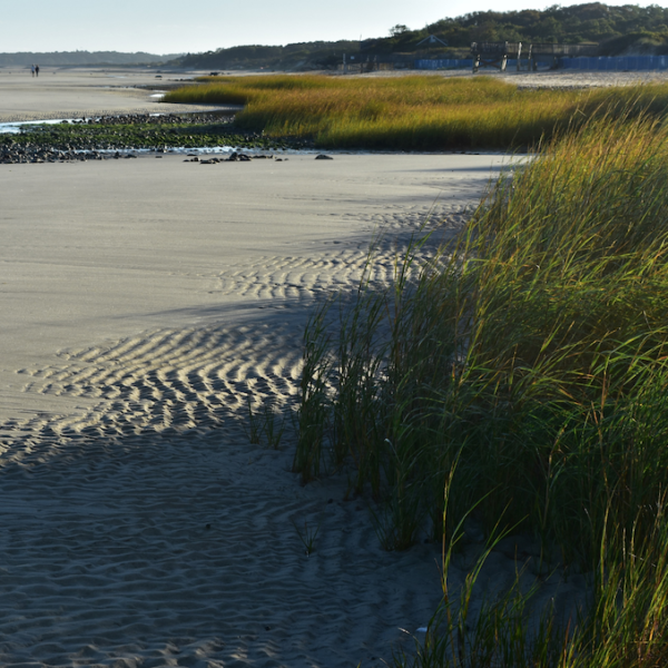 Power Retrieval Retreat June 20-22, 2025